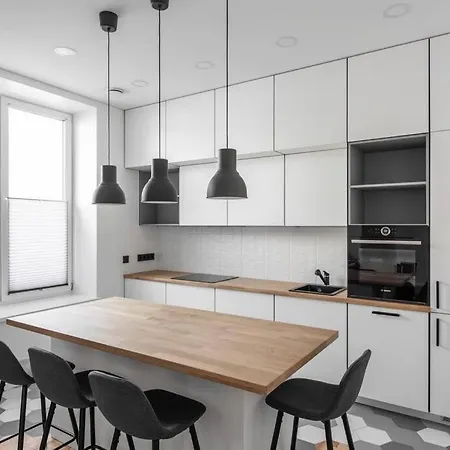 Apartment Stylish In Center Vilnius