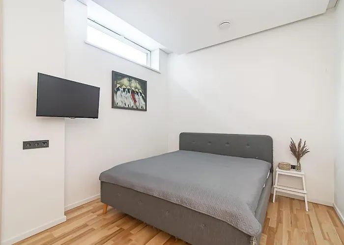 Stylish In Center Vilnius